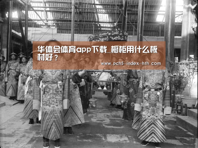 华体会体育app下载_橱柜用什么板材好？