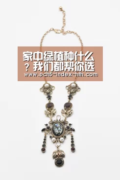 家中绿植种什么？我们都帮你选好了【华体会官方网站入口】